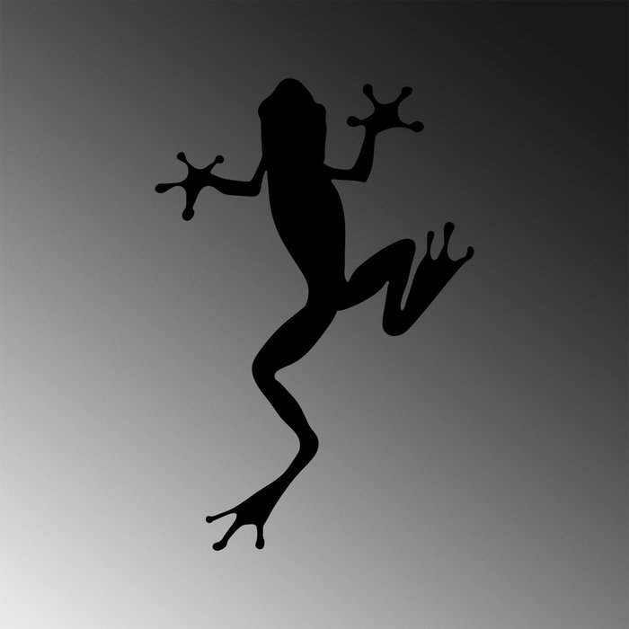 Wallity Frog - 296 Negro Wallity Frog - 296 Negro